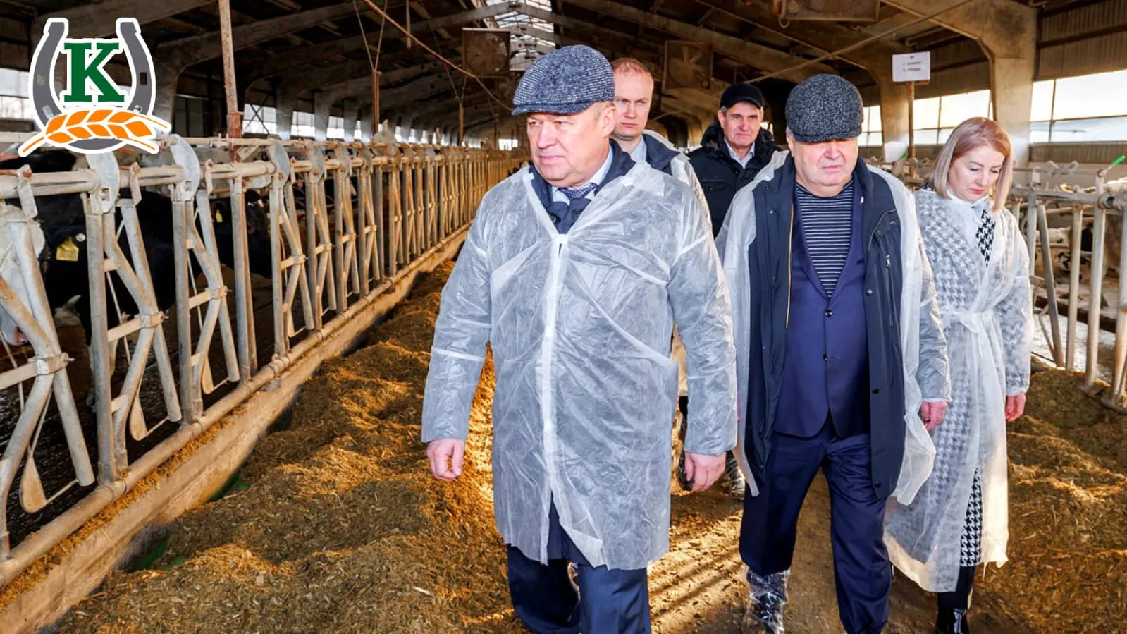 WhatsApp Image 2023-01-18 at 12.37.26 (2).jpeg