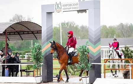 Итоги большого конкурного марафона