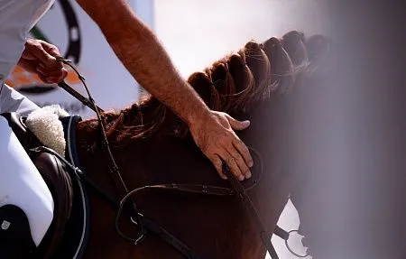 Вот и завершился жаркий во всех смыслах турнир