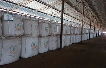 Подработка семян