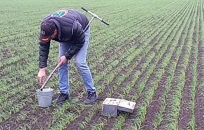 Отбор почвы 