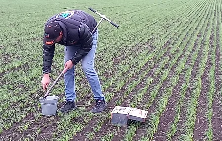 Отбор почвы 