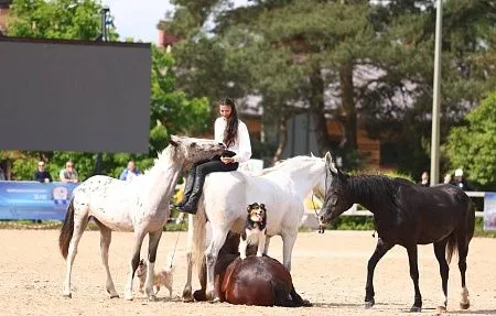 Сегодня мы начинаем знакомить вас с участниками фестиваля "От коня до комбайна''.