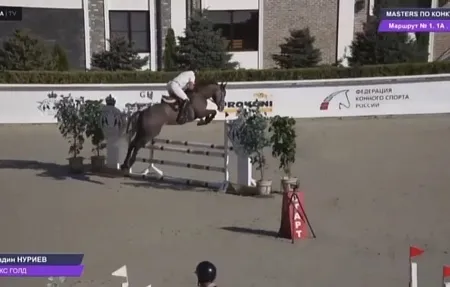 Участие в традиционном осеннем турнире Golden Horse