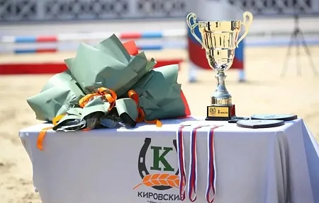 С 8 по 10 мая в Кировском конном заводе прошли областные соревнований по конкуру.