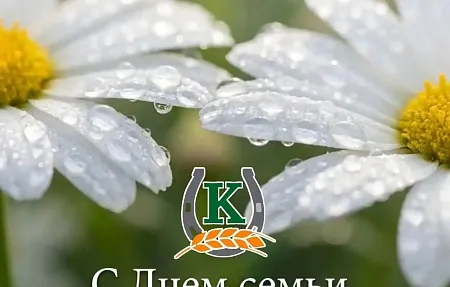 С Днём семьи, 