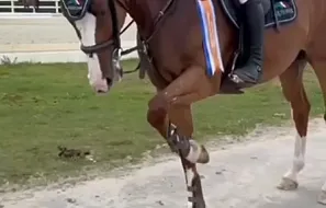 Главный турнир сезона 