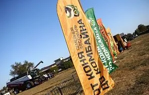 Первый в истории Юга России