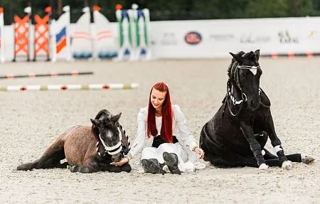 Артисты - участники семейного фестиваля «От коня до комбайна" -