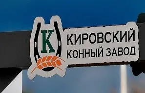 Приглашаем любителей конного спорта 