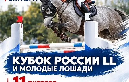 Приглашаем любителей