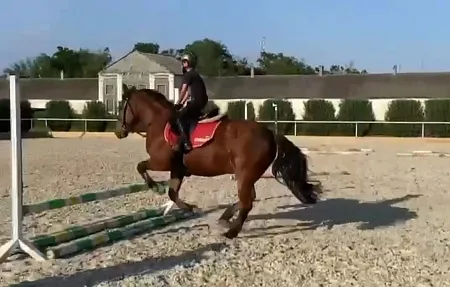 Первые шаги наших будущих спортсменов