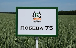Победа 75