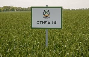 Стиль 18